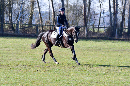 Luhmühlen Geländepferdetag 31.03.21 | 31032021 GPF A++  1 Abt_295 