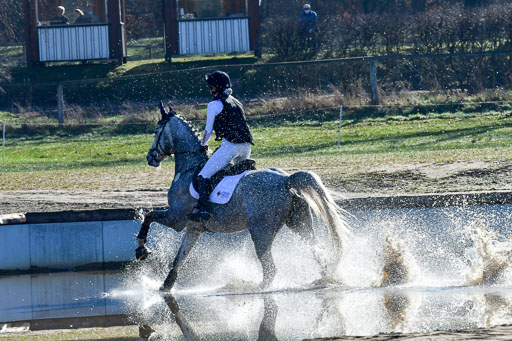 Geländepferde A 1 Abt