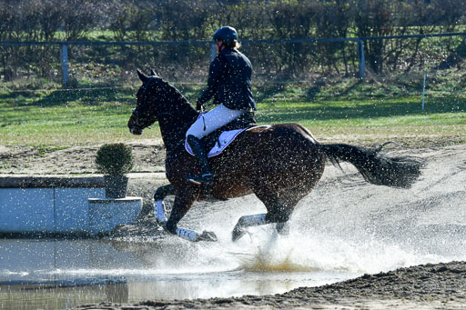 Luhmühlen Geländepferdetag 31.03.21 | 31032021 GPF A++  1 Abt_417 