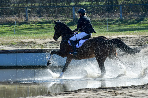 Luhmühlen Geländepferdetag 31.03.21 | 31032021 GPF A++  1 Abt_419 