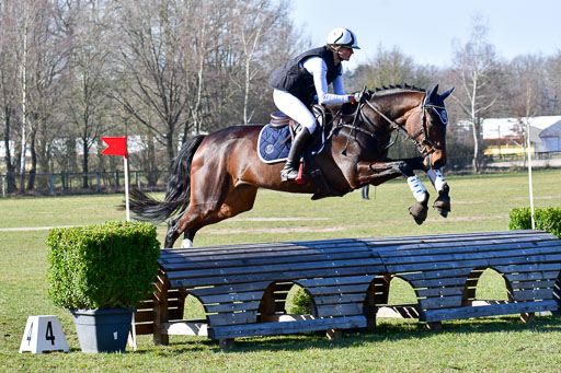 Luhmühlen Geländepferdetag 31.03.21 | 31032021 GPF A++  1 Abt_425 