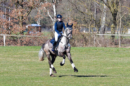 Luhmühlen Geländepferdetag 31.03.21 | 31032021 GPF A++  1 Abt_453 