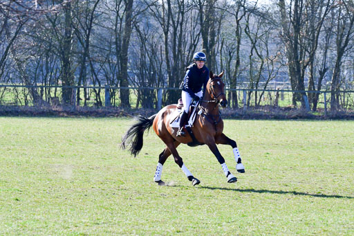 Luhmühlen Geländepferdetag 31.03.21 | 31032021 GPF A++  1 Abt_484 