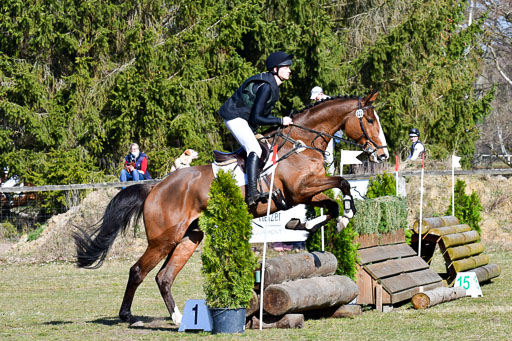 Luhmühlen Geländepferdetag 31.03.21 | 31032021 GPF A++  1 Abt_495 