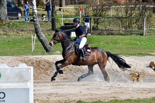 Luhmühlen Geländepferdetag 31.03.21 | 31032021 GPF L _015 