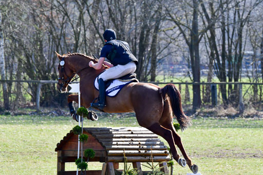 Luhmühlen Geländepferdetag 31.03.21 | 31032021 GPF L _094 