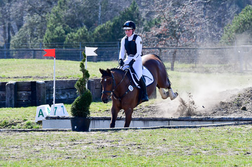 Luhmühlen Geländepferdetag 31.03.21 | 31032021 GPF L _129 