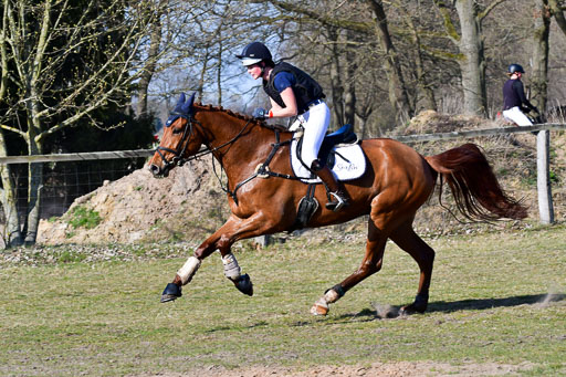 Luhmühlen Geländepferdetag 31.03.21 | 31032021 GPF L _270 