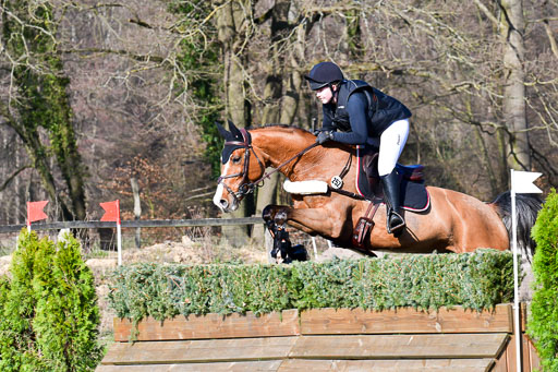 Luhmühlen Geländepferdetag 31.03.21 | 31032021 GPF L _295 