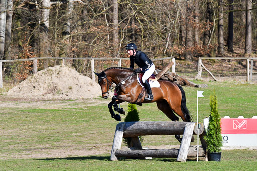 Luhmühlen Geländepferdetag 31.03.21 | 31032021 GPF L _306 