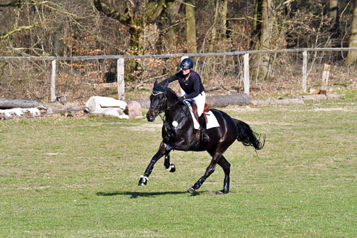 Luhmühlen Geländepferdetag 31.03.21 | 31032021 GPF L _343 