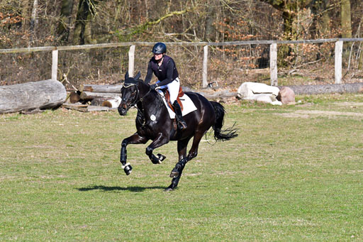 Luhmühlen Geländepferdetag 31.03.21 | 31032021 GPF L _344 