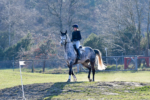 Luhmühlen Geländepferdetag 31.03.21 | 31032021 GPF L _470 