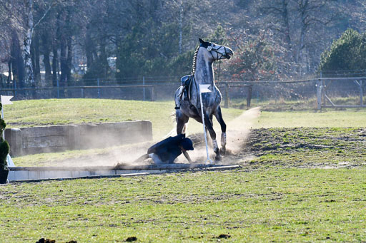 Luhmühlen Geländepferdetag 31.03.21 | 31032021 GPF L _477 