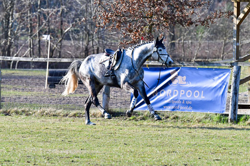 Luhmühlen Geländepferdetag 31.03.21 | 31032021 GPF L _479 