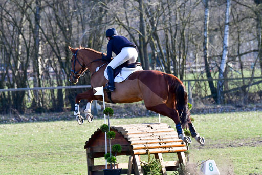 Luhmühlen Geländepferdetag 31.03.21 | 31032021 GPF L _515 