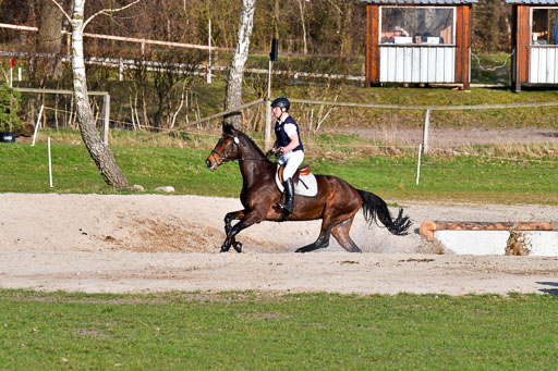 Luhmühlen Geländepferdetag 31.03.21 | 31032021 GPF L _558 