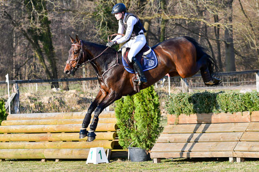 Luhmühlen Geländepferdetag 31.03.21 | 31032021 GPF L _615 