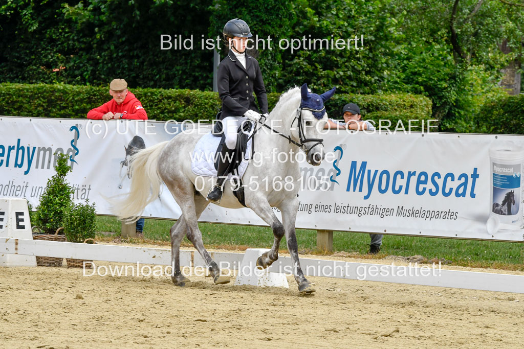 Goldene Schärpe 2021  in Münster Handorf | 02072021 - Dressur_014 