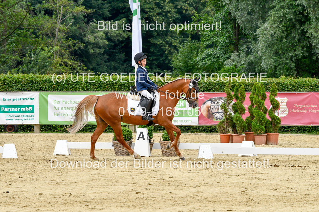 Goldene Schärpe 2021  in Münster Handorf | 02072021 - Dressur_027 