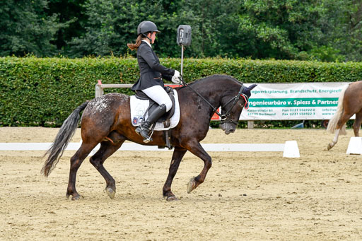 Goldene Schärpe 2021  in Münster Handorf | 02072021 - Dressur_110 