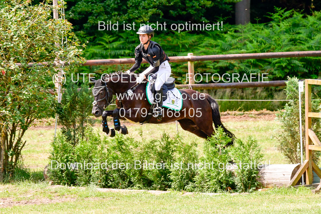 Goldene Schärpe 2021 in Münster Handorf | 03072021 - Gelände 2 _0230