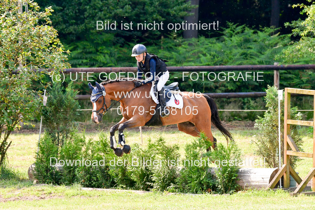 Goldene Schärpe 2021 in Münster Handorf | 03072021 - Gelände 2 _0903