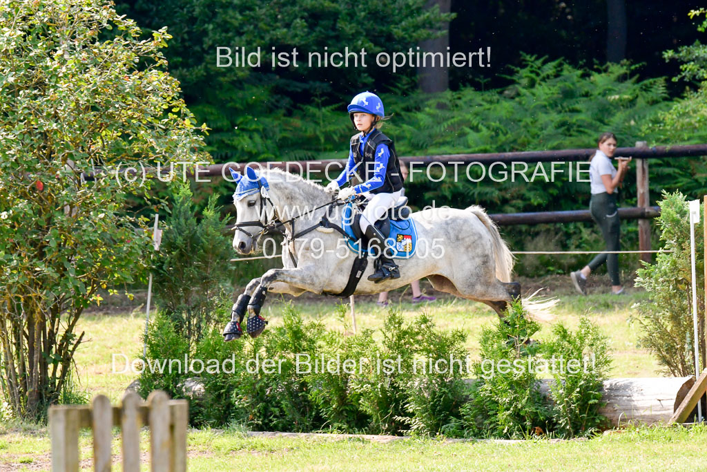 Goldene Schärpe 2021  in Münster Handorf | 03072021 -  Gelände 2   _0942 