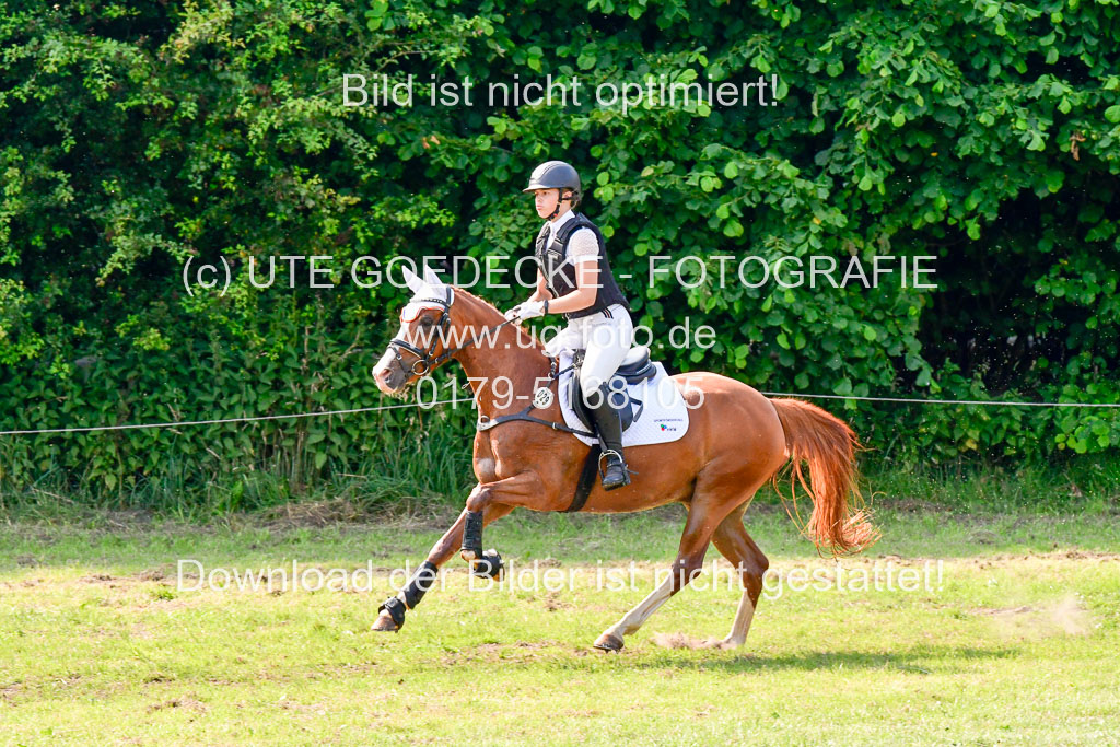 Goldene Schärpe 2021  in Münster Handorf | 03072021 -  Gelände 2   _1019 