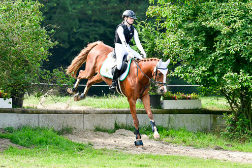 Goldene Schärpe 2021  in Münster Handorf | 03072021 -  Gelände 1  _0177 
