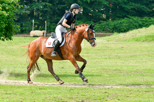 Goldene Schärpe 2021  in Münster Handorf | 03072021 -  Gelände 1  _0395 
