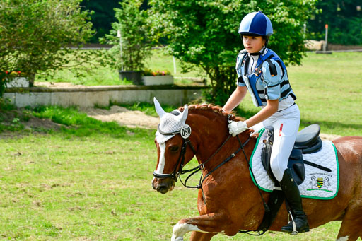 Goldene Schärpe 2021  in Münster Handorf | 03072021 -  Gelände 1  _0506 