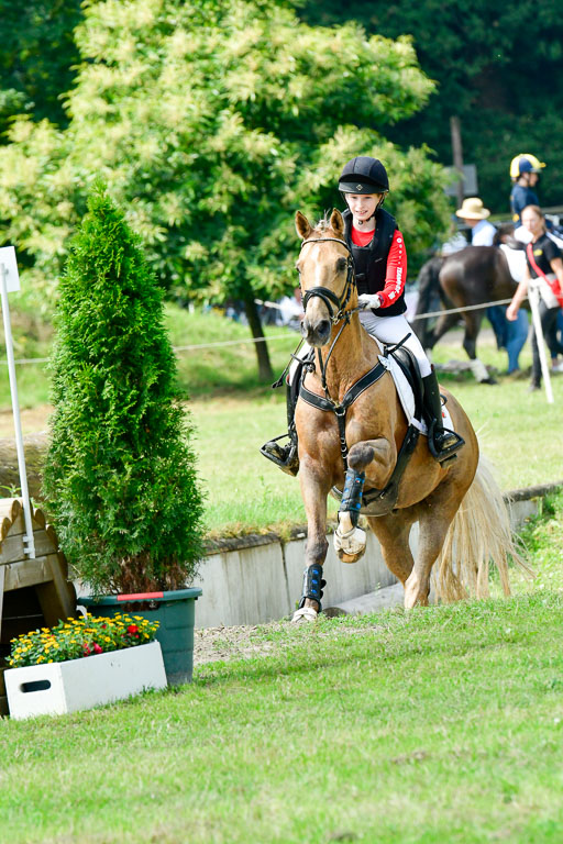 Goldene Schärpe 2021  in Münster Handorf | 03072021 -  Gelände 1  _0570 
