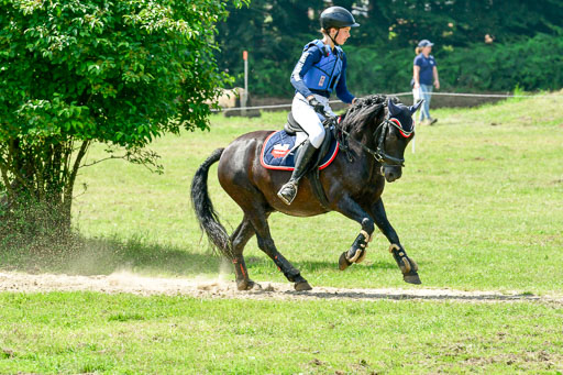 Goldene Schärpe 2021  in Münster Handorf | 03072021 -  Gelände 1  _0758 