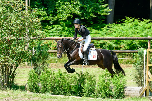 Goldene Schärpe 2021  in Münster Handorf | 03072021 -  Gelände 1  _0866 