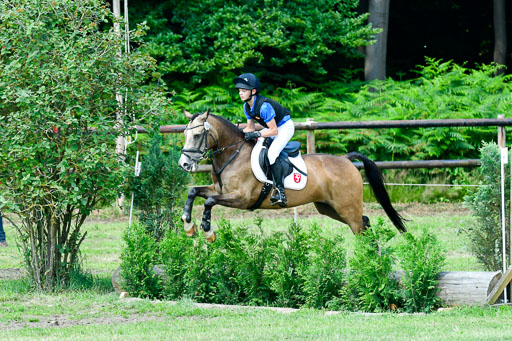 Goldene Schärpe 2021  in Münster Handorf | 03072021 -  Gelände 1  _0917 