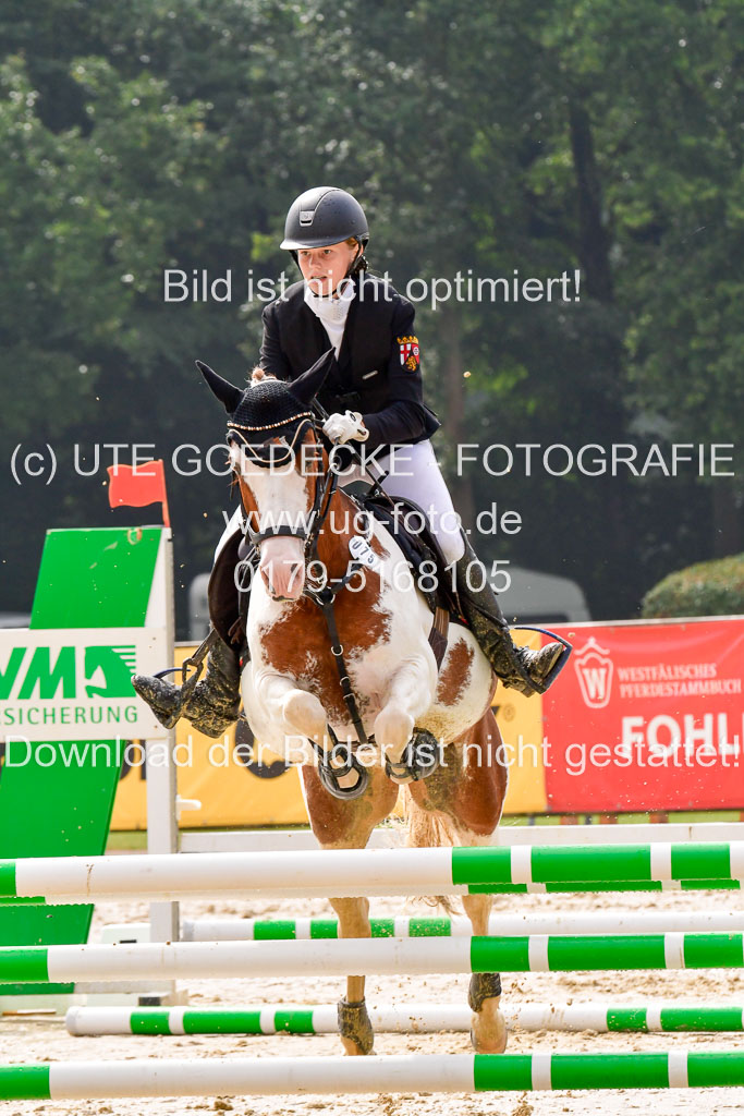 Goldene Schärpe 2021  in Münster Handorf | 04072021 - Springen 1 Abt_062 