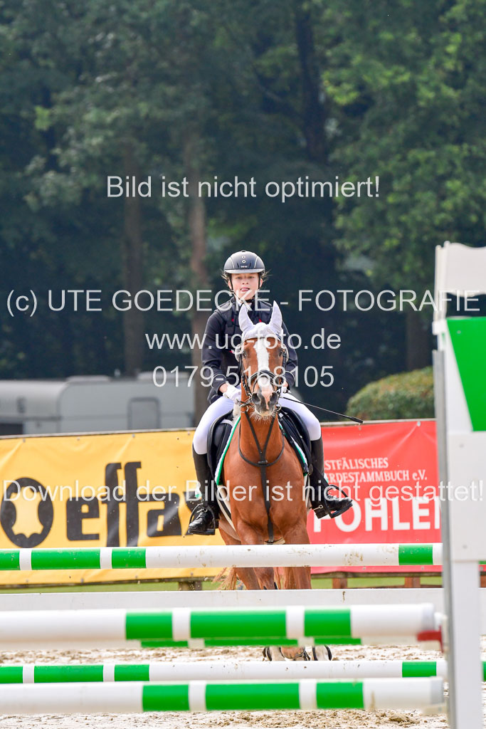 Goldene Schärpe 2021  in Münster Handorf | 04072021 - Springen 1 Abt_081 