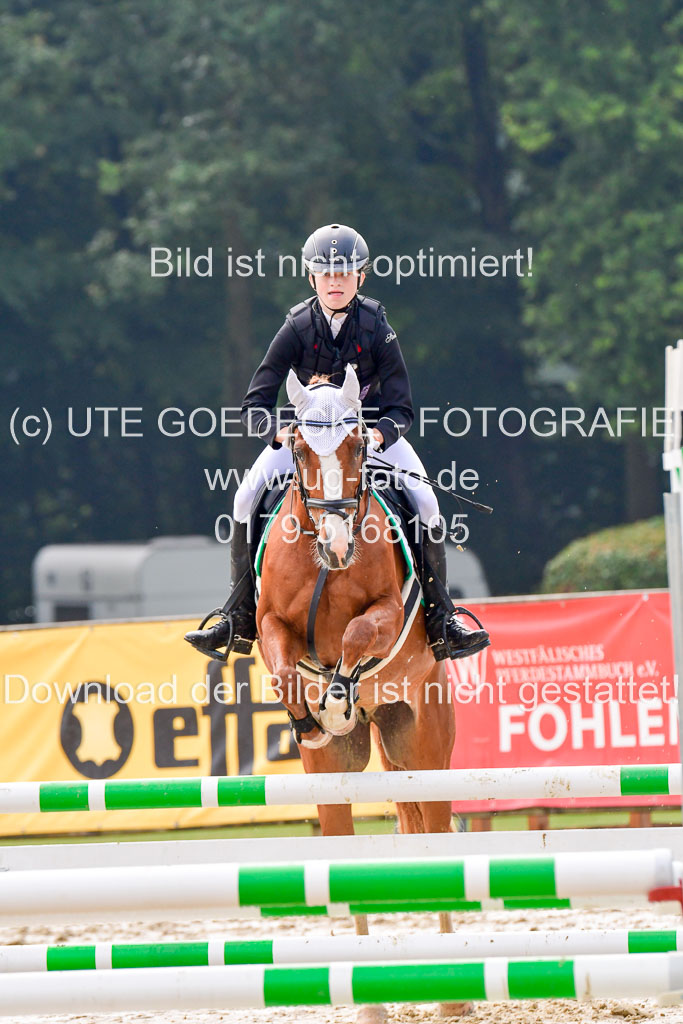 Goldene Schärpe 2021  in Münster Handorf | 04072021 - Springen 1 Abt_082 
