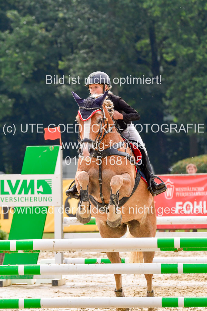 Goldene Schärpe 2021  in Münster Handorf | 04072021 - Springen 1 Abt_162 