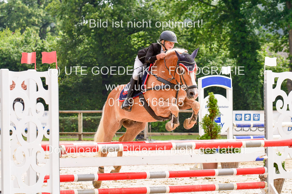 Goldene Schärpe 2021  in Münster Handorf | 04072021 - Springen 1 Abt_166 