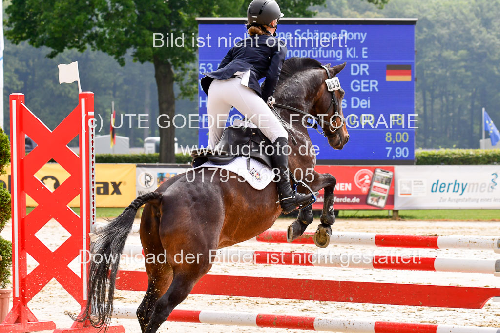 Goldene Schärpe 2021  in Münster Handorf | 04072021 - Springen 1 Abt_193 