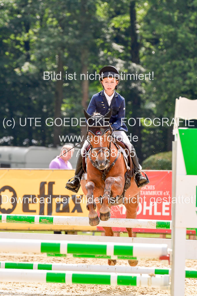 Goldene Schärpe 2021 in Münster Handorf | 04072021 - Springen 1 Abt_419