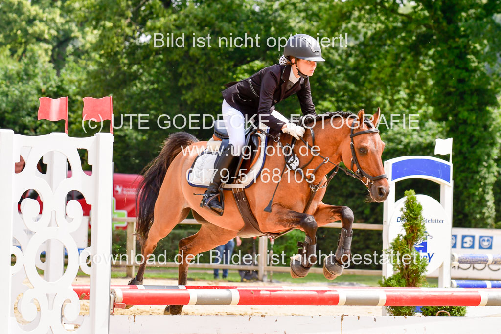 Goldene Schärpe 2021  in Münster Handorf | 04072021 - Springen 1 Abt_457 