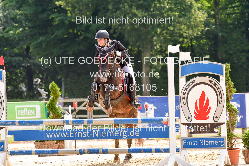 Goldene Schärpe 2021 in Münster Handorf | 04072021 - Springen 1 Abt_480