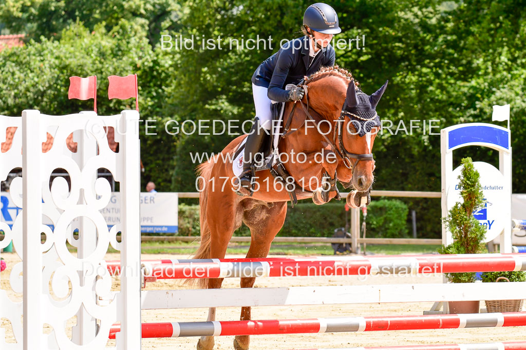 Goldene Schärpe 2021  in Münster Handorf | 04072021 - Springen 1 Abt_487 
