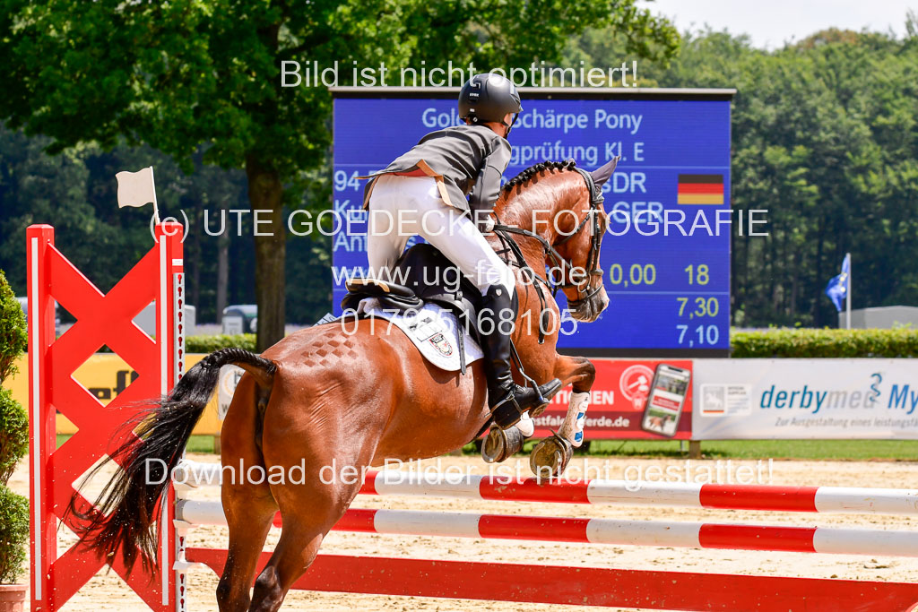 Goldene Schärpe 2021  in Münster Handorf | 04072021 - Springen 1 Abt_496 
