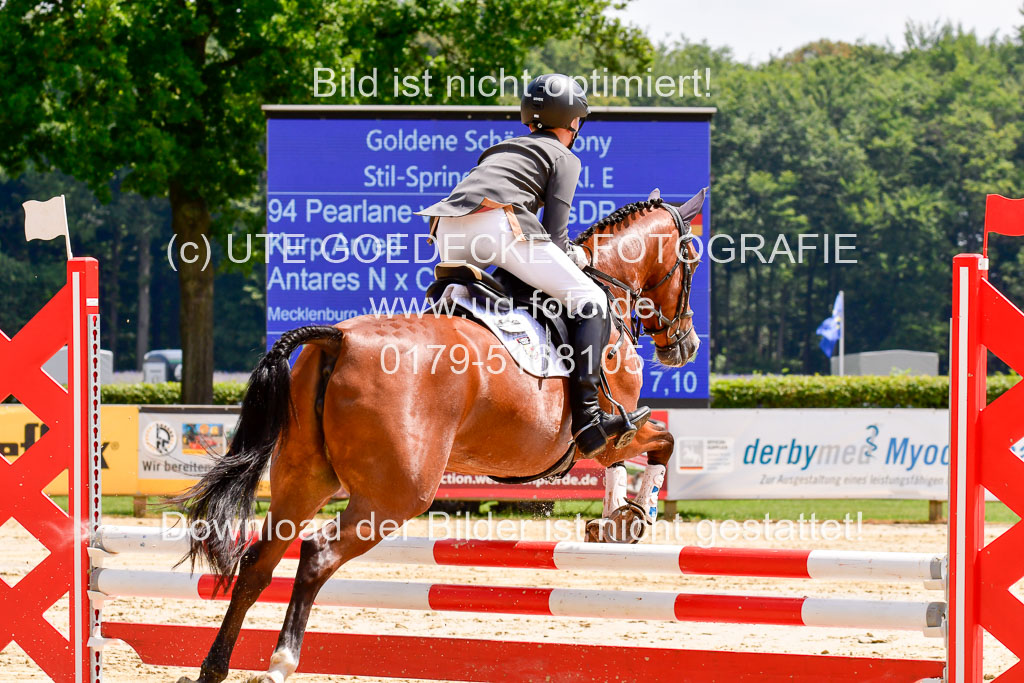 Goldene Schärpe 2021 in Münster Handorf | 04072021 - Springen 1 Abt_497