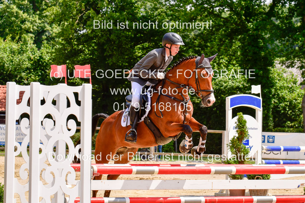 Goldene Schärpe 2021 in Münster Handorf | 04072021 - Springen 1 Abt_502