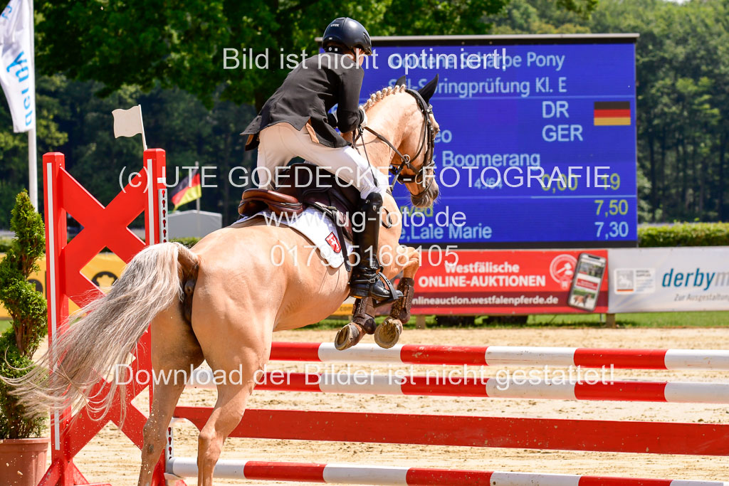 Goldene Schärpe 2021  in Münster Handorf | 04072021 - Springen 1 Abt_508 